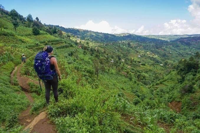 Usambara Mountains Trekking
